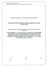 Vista preliminar de documento Bases Supervisión Empresa Privada