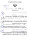 Vista preliminar de documento Resolución Directoral. N° 1102 - 2024 