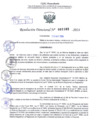 Vista preliminar de documento Resolución Directoral. N° 1103 - 2024