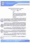 Vista preliminar de documento D-A-006-2021