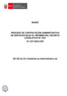 Vista preliminar de documento Bases del proceso
