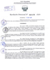 Vista preliminar de documento Resolución Directoral. N° 1115 - 2024 