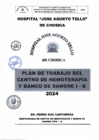 Vista preliminar de documento PLAN DE TRABAJO DEL CENTRO DE HEMOTERAPIA Y BANCO DE SANGRE 