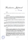 Vista preliminar de documento Resolución Jefatural N° 0875-2017-RE