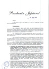 Vista preliminar de documento Resolución Jefatural N° 0306-2017-RE