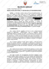Vista preliminar de documento Resolución Jefatural