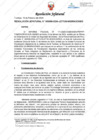 Vista preliminar de documento Resolución Jefatural