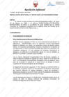 Vista preliminar de documento Resolución Jefatural