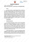 Vista preliminar de documento Resolución Jefatural
