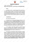 Vista preliminar de documento Resolución Jefatural