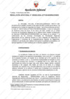 Vista preliminar de documento Resolución Jefatural