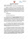 Vista preliminar de documento Resolución Jefatural