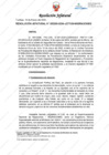 Vista preliminar de documento Resolución Jefatural