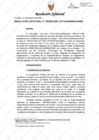 Vista preliminar de documento Resolución Jefatural