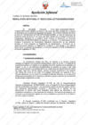 Vista preliminar de documento Resolución Jefatural