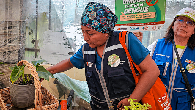 Foto 2 de Gobierno autoriza al Minsa a transferir más de S/ 2 millones a municipios de Lima Centro para la lucha contra el dengue