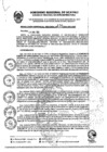 Vista preliminar de documento RGR0120-2024-GRI