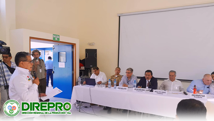 II Audiencia Pública “ Problemática y Soluciones a la Actividad Pesquera en el Puerto de Marcona - Ica