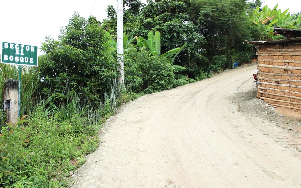 Archivo del sector al bosque