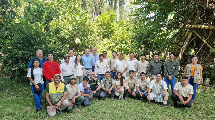 Taller incendios