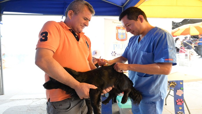 Servicio veterinario