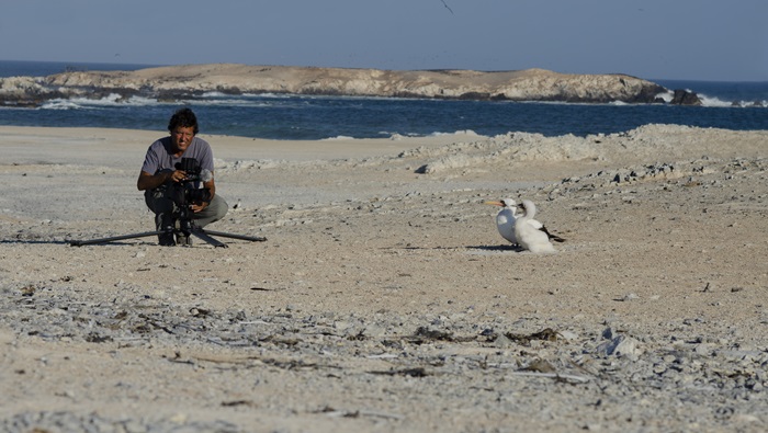 documental mar