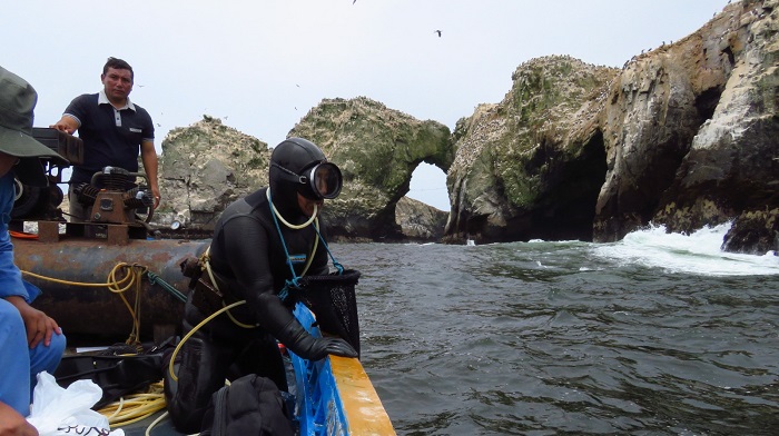 Pescadores islas