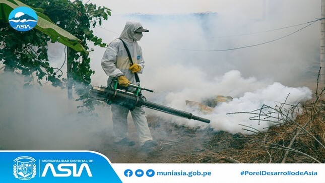  Por encargo de nuestro alcalde Isaias Alcántara Malasquez, la Sub Gerencia de Gestión Ambiental continúa con el plan de fumigación en todo el distrito, con la finalidad de erradicar el zancudo trasmisor del dengue.
#MunicipalidadDistritalDeAsia
#PorelDesarrollodeAsia