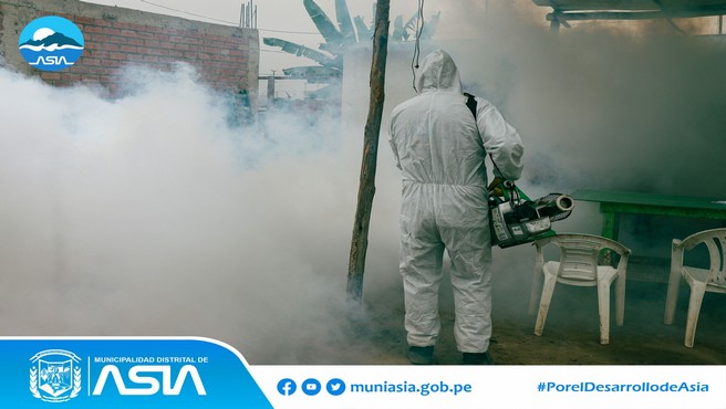  Por encargo de nuestro alcalde Isaias Alcántara Malasquez, la Sub Gerencia de Gestión Ambiental continúa con el plan de fumigación en todo el distrito, con la finalidad de erradicar el zancudo trasmisor del dengue.
#MunicipalidadDistritalDeAsia
#PorelDesarrollodeAsia