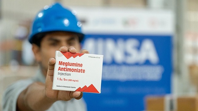 Minsa distribuye 90 000 ampollas para combatir la uta en todo el Perú