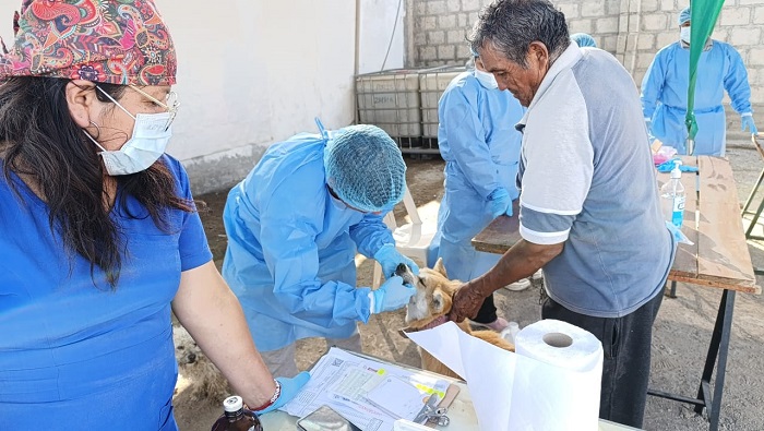 MPH desarrolló con éxito campaña de salud y bienestar animal en C.P. La Huerta Margaret