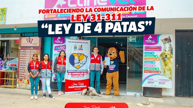 Archivo de JPG sobre una publicación del área de imagen