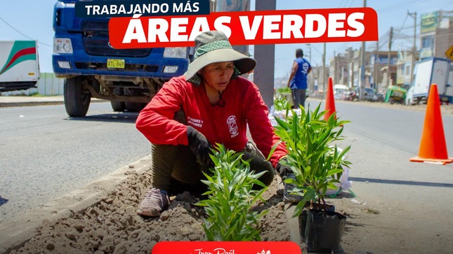 Archivo de JPG sobre una publicación del área de imagen