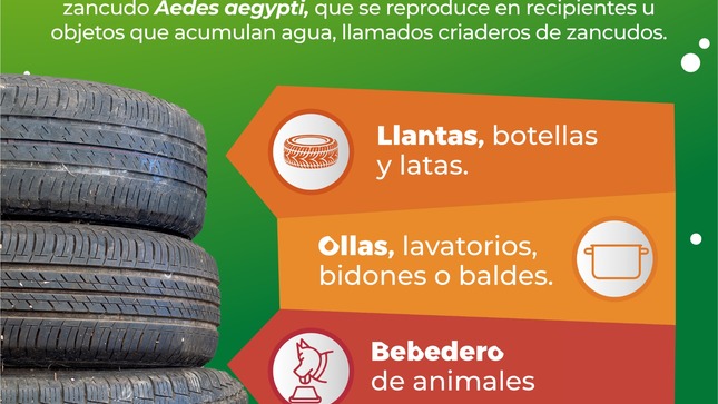 Archivo de JPG sobre una publicación del área de imagen