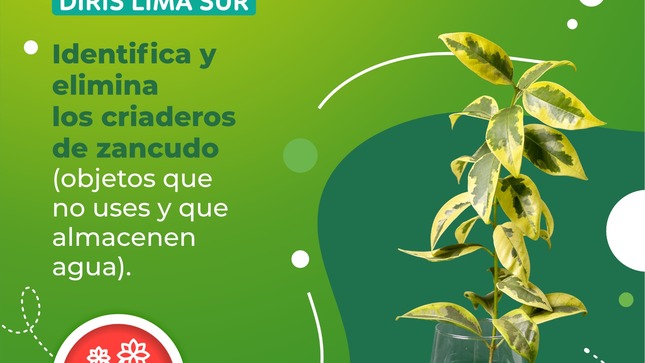 Archivo de JPG sobre una publicación del área de imagen
