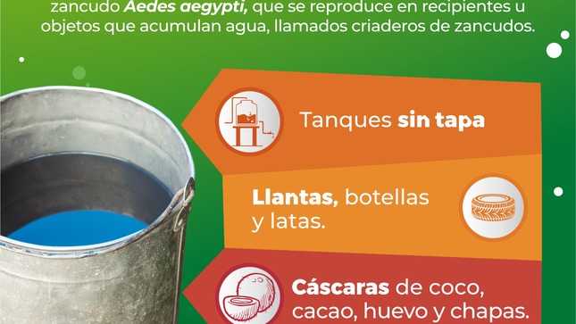 Archivo de JPG sobre una publicación del área de imagen