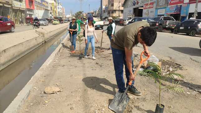 Limpieza y plantados de árboles en la Av. Leguía en el día de la Tierra.