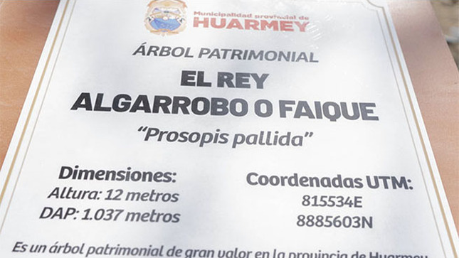 Nota de Prensa