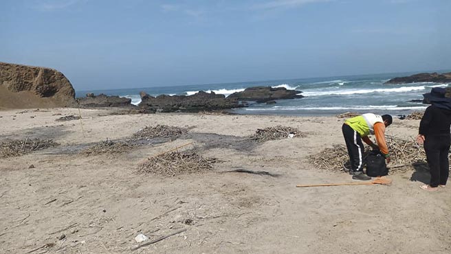En Semana Santa: Campaña de limpieza de playas de la costa de Huarmey, a fin de evitar la Contaminaciòn Ambiental.