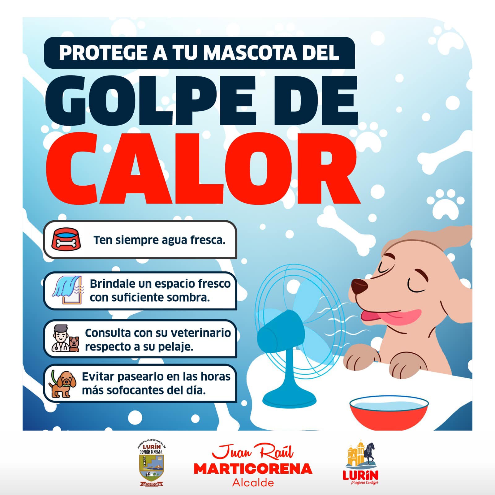 Archivo de JPG sobre una publicación del área de imagen