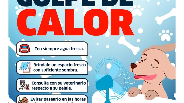 Archivo de JPG sobre una publicación del área de imagen
