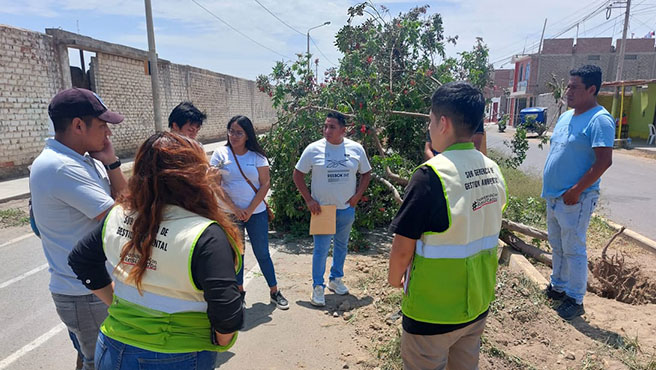 Se procedió a la intervención de los representantes de la empresa LAVF Contratistas ante la mala implementación de trasplante de un árbol.