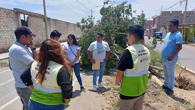 Se procedió a la intervención de los representantes de la empresa LAVF Contratistas ante la mala implementación de trasplante de un árbol.