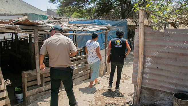 Municipalidad realiza inspección de crianzas de animales para el consumo humano de Huarmey.