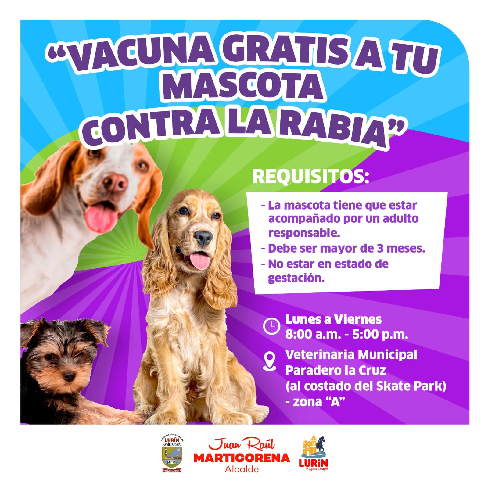 Archivo de JPG sobre una publicación del área de imagen