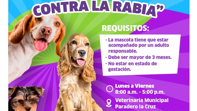 Archivo de JPG sobre una publicación del área de imagen