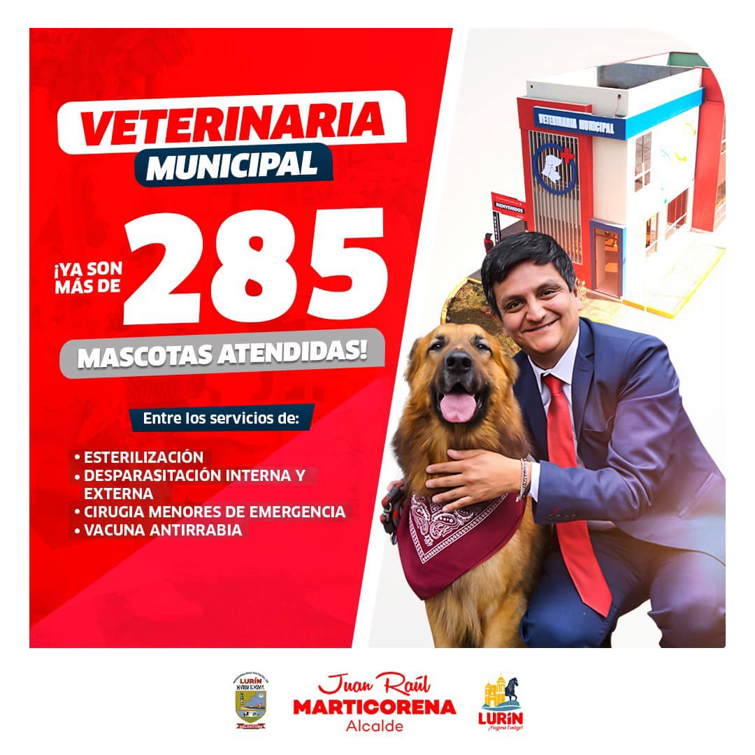 Archivo de JPG sobre una publicación del área de imagen