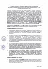 Vista preliminar de documento ANEXO 0549-2024-IN