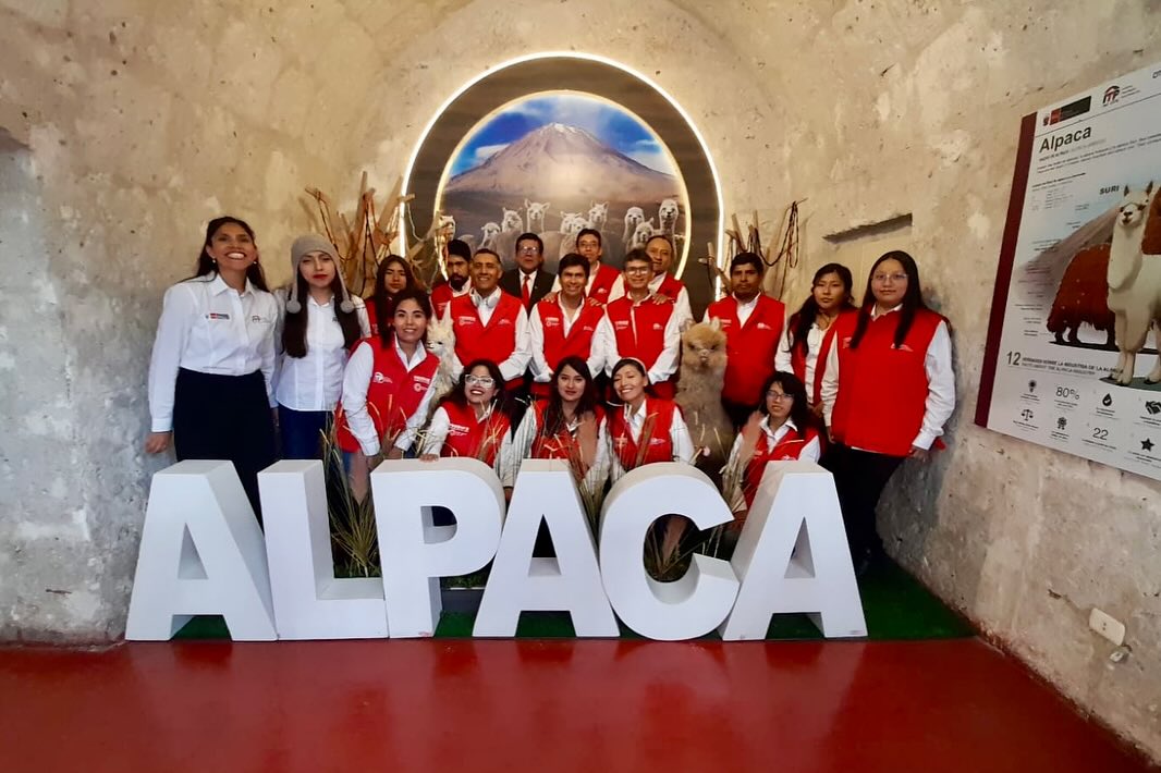 Lanzamiento de Alpaca Wasi