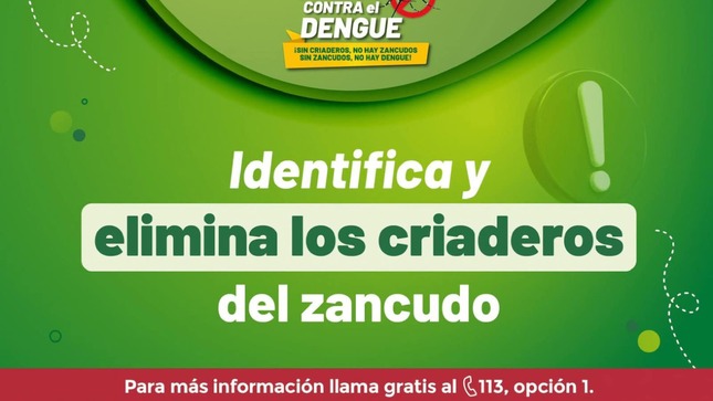 Archivo de JPG sobre una publicación del área de imagen